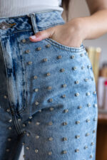 CALÇA DE GANGA COM BRILHOS FRACOMINA - Image 3