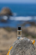 PERFUME DE HOMEM PONTO CHIC - Image 2
